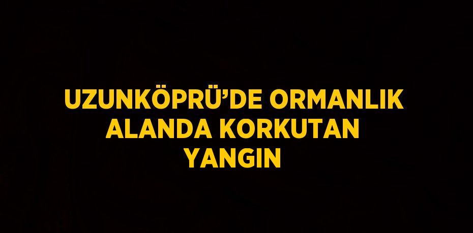 UZUNKÖPRÜ’DE ORMANLIK ALANDA KORKUTAN YANGIN