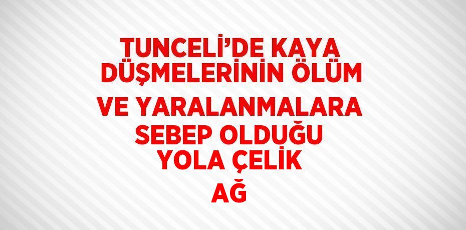 TUNCELİ’DE KAYA DÜŞMELERİNİN ÖLÜM VE YARALANMALARA SEBEP OLDUĞU YOLA ÇELİK AĞ