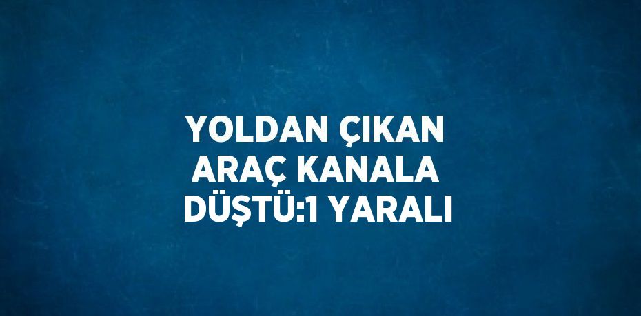 YOLDAN ÇIKAN ARAÇ KANALA DÜŞTÜ:1 YARALI