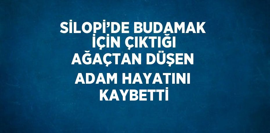 SİLOPİ’DE BUDAMAK İÇİN ÇIKTIĞI AĞAÇTAN DÜŞEN ADAM HAYATINI KAYBETTİ