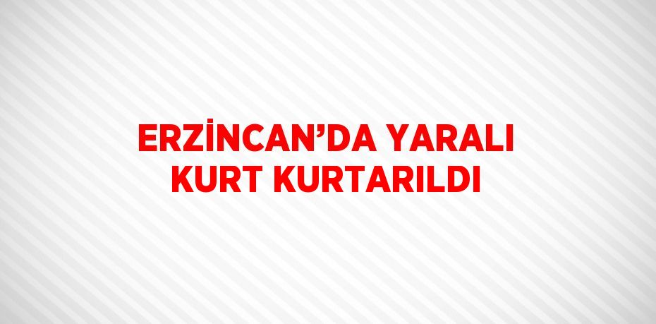 ERZİNCAN’DA YARALI KURT KURTARILDI