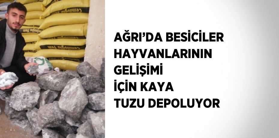 AĞRI’DA BESİCİLER HAYVANLARININ GELİŞİMİ İÇİN KAYA TUZU DEPOLUYOR