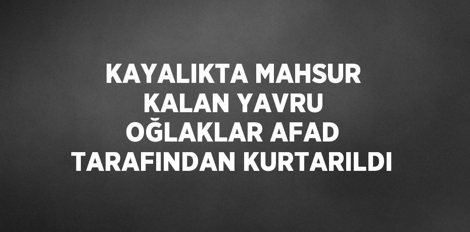 KAYALIKTA MAHSUR KALAN YAVRU OĞLAKLAR AFAD TARAFINDAN KURTARILDI