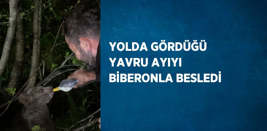 YOLDA GÖRDÜĞÜ YAVRU AYIYI BİBERONLA BESLEDİ