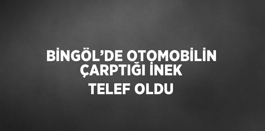 BİNGÖL’DE OTOMOBİLİN ÇARPTIĞI İNEK TELEF OLDU