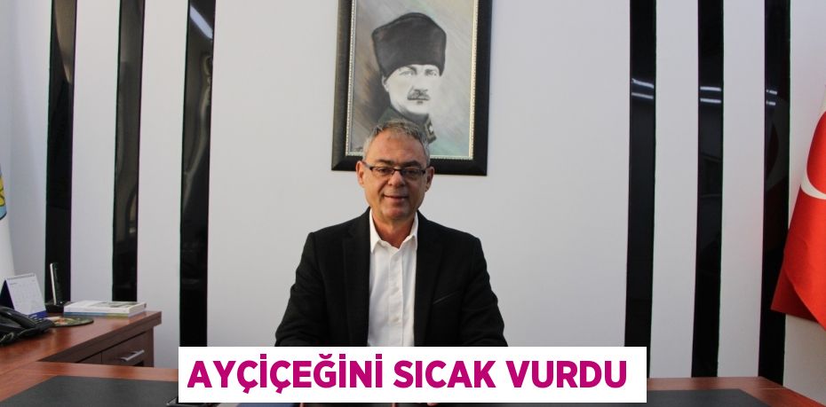 Ayçiçeğini sıcak vurdu