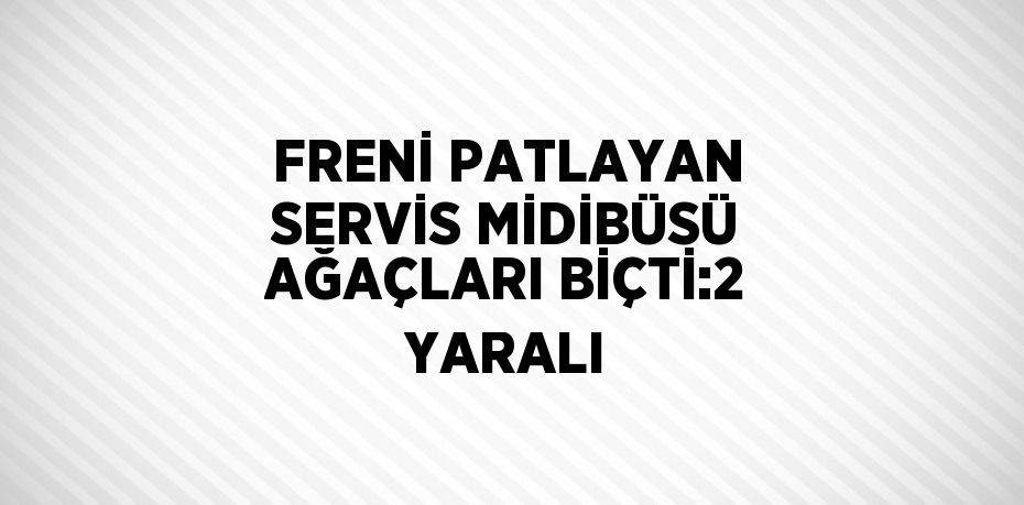 FRENİ PATLAYAN SERVİS MİDİBÜSÜ AĞAÇLARI BİÇTİ:2 YARALI