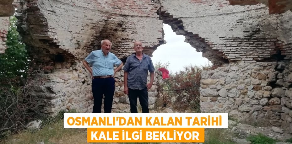 Osmanlı’dan kalan tarihi kale ilgi bekliyor