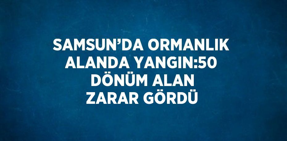 SAMSUN’DA ORMANLIK ALANDA YANGIN:50 DÖNÜM ALAN ZARAR GÖRDÜ