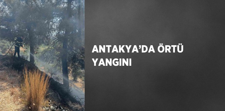 ANTAKYA’DA ÖRTÜ YANGINI