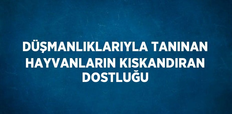 DÜŞMANLIKLARIYLA TANINAN HAYVANLARIN KISKANDIRAN DOSTLUĞU