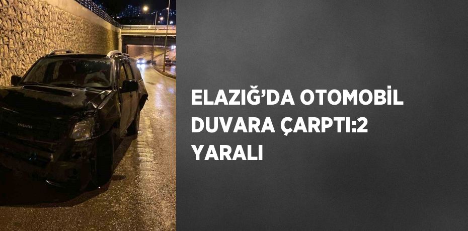 ELAZIĞ’DA OTOMOBİL DUVARA ÇARPTI:2 YARALI