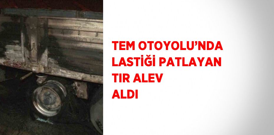 TEM OTOYOLU’NDA LASTİĞİ PATLAYAN TIR ALEV ALDI