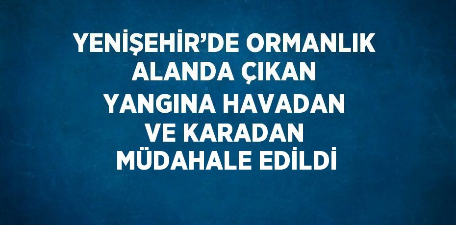 YENİŞEHİR’DE ORMANLIK ALANDA ÇIKAN YANGINA HAVADAN VE KARADAN MÜDAHALE EDİLDİ