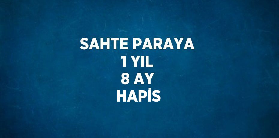 SAHTE PARAYA 1 YIL 8 AY HAPİS