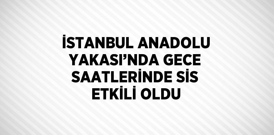 İSTANBUL ANADOLU YAKASI’NDA GECE SAATLERİNDE SİS ETKİLİ OLDU