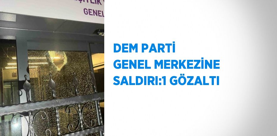 DEM PARTİ GENEL MERKEZİNE SALDIRI:1 GÖZALTI