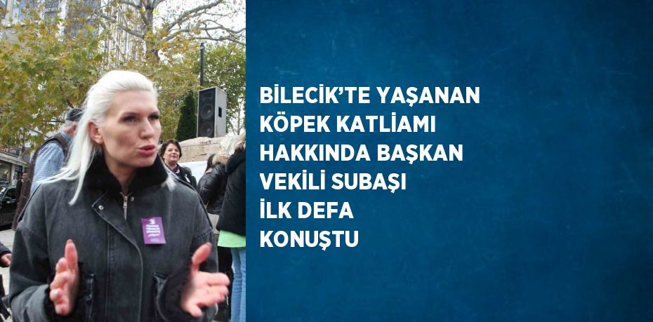 BİLECİK’TE YAŞANAN KÖPEK KATLİAMI HAKKINDA BAŞKAN VEKİLİ SUBAŞI İLK DEFA KONUŞTU