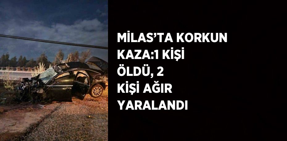 MİLAS’TA KORKUN KAZA:1 KİŞİ ÖLDÜ, 2 KİŞİ AĞIR YARALANDI