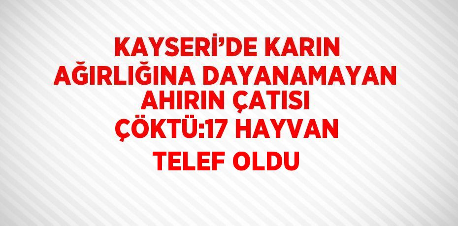 KAYSERİ’DE KARIN AĞIRLIĞINA DAYANAMAYAN AHIRIN ÇATISI ÇÖKTÜ:17 HAYVAN TELEF OLDU