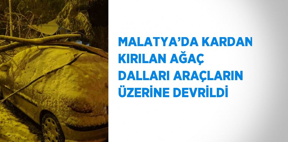 MALATYA’DA KARDAN KIRILAN AĞAÇ DALLARI ARAÇLARIN ÜZERİNE DEVRİLDİ