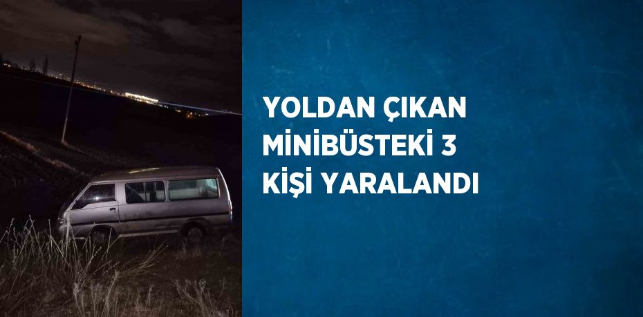 YOLDAN ÇIKAN MİNİBÜSTEKİ 3 KİŞİ YARALANDI