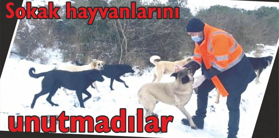 Sokak hayvanlarını unutmadılar