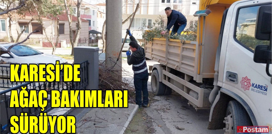 KARESİ’DE AĞAÇ BAKIMLARI SÜRÜYOR