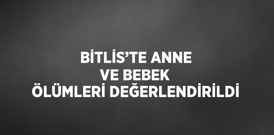 BİTLİS’TE ANNE VE BEBEK ÖLÜMLERİ DEĞERLENDİRİLDİ