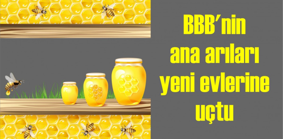 BBB’nin ana arıları yeni evlerine uçtu