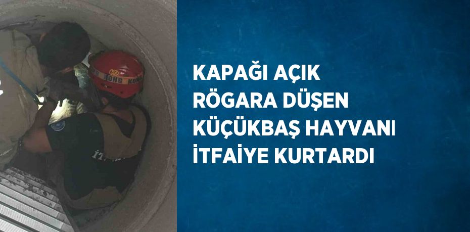 KAPAĞI AÇIK RÖGARA DÜŞEN KÜÇÜKBAŞ HAYVANI İTFAİYE KURTARDI