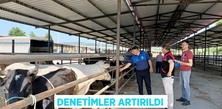 Denetimler Artırıldı