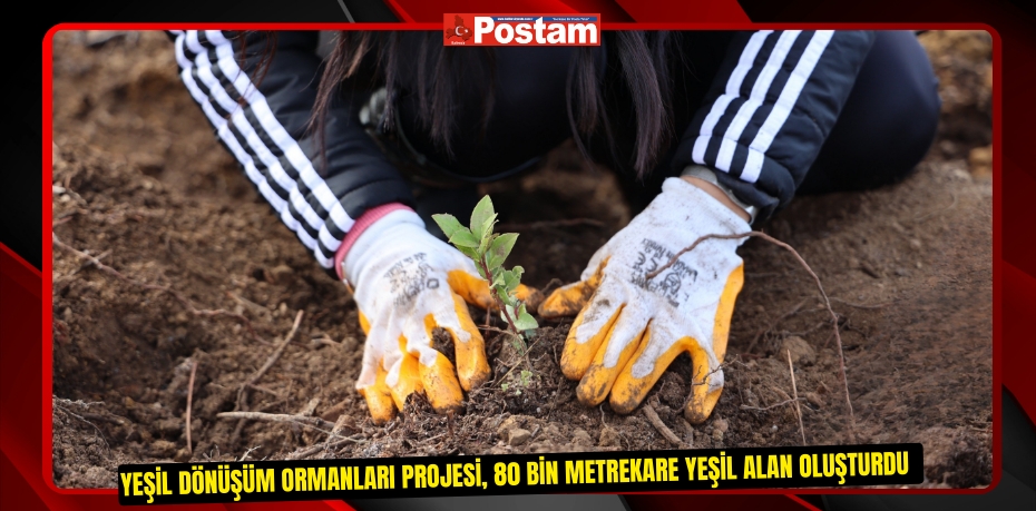 Yeşil Dönüşüm Ormanları Projesi, 80 bin metrekare yeşil alan oluşturdu  