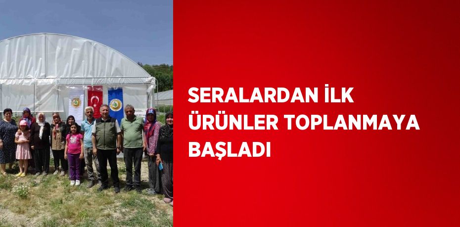 SERALARDAN İLK ÜRÜNLER TOPLANMAYA BAŞLADI