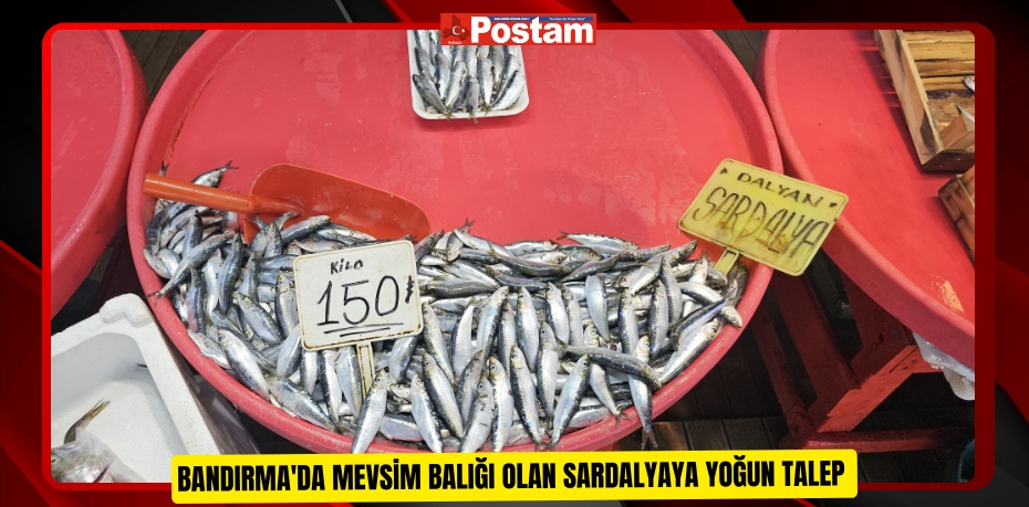 Bandırma'da mevsim balığı olan sardalyaya yoğun talep  
