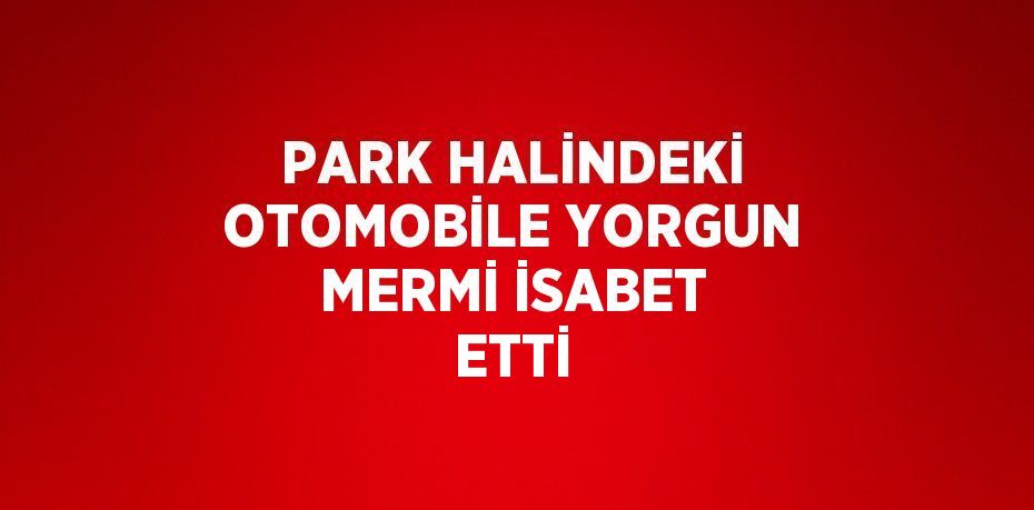 PARK HALİNDEKİ OTOMOBİLE YORGUN MERMİ İSABET ETTİ