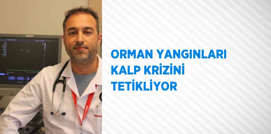 ORMAN YANGINLARI KALP KRİZİNİ TETİKLİYOR