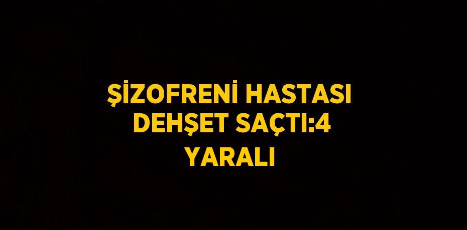 ŞİZOFRENİ HASTASI DEHŞET SAÇTI:4 YARALI