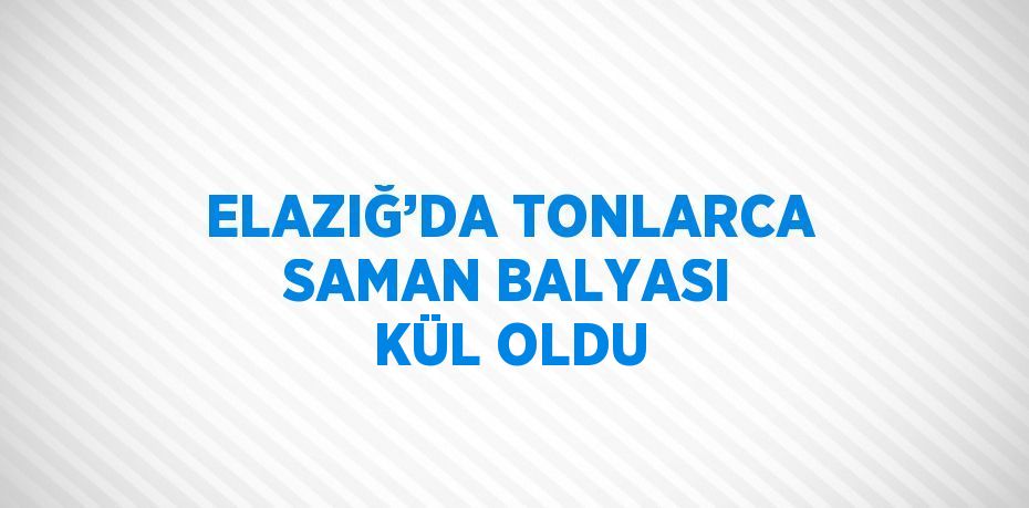 ELAZIĞ’DA TONLARCA SAMAN BALYASI KÜL OLDU