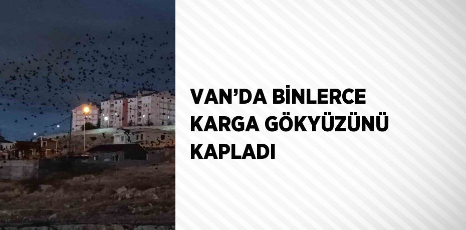 VAN’DA BİNLERCE KARGA GÖKYÜZÜNÜ KAPLADI