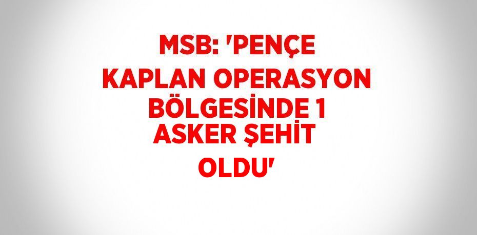 MSB: 'PENÇE KAPLAN OPERASYON BÖLGESİNDE 1 ASKER ŞEHİT OLDU'