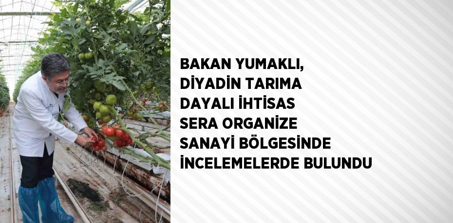 BAKAN YUMAKLI, DİYADİN TARIMA DAYALI İHTİSAS SERA ORGANİZE SANAYİ BÖLGESİNDE İNCELEMELERDE BULUNDU