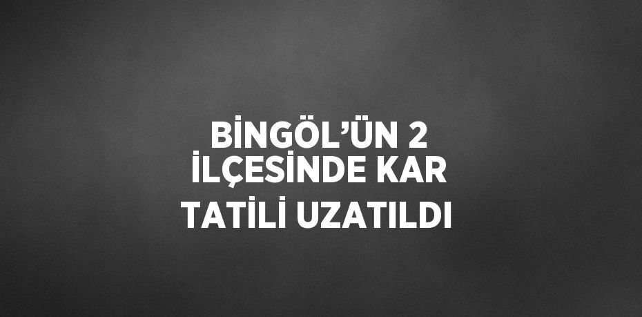 BİNGÖL’ÜN 2 İLÇESİNDE KAR TATİLİ UZATILDI