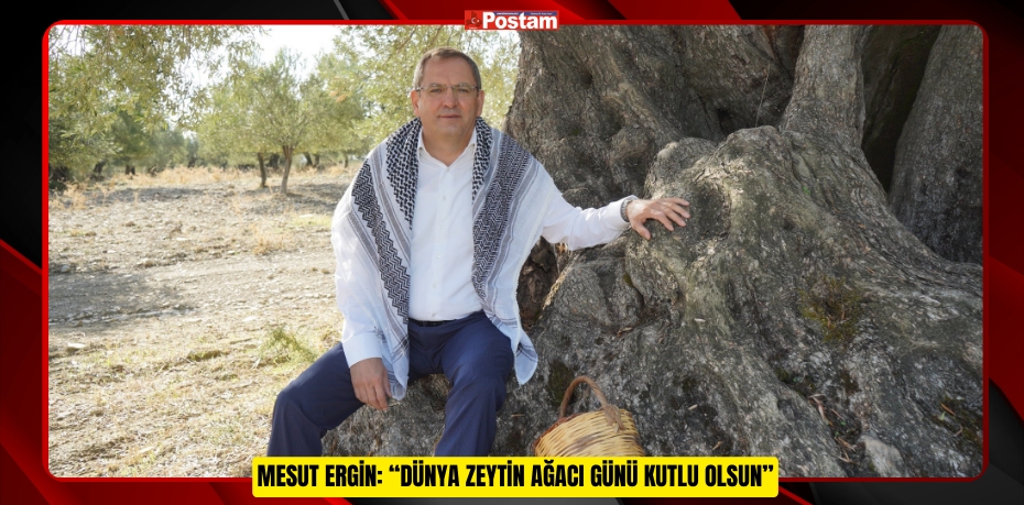 Mesut Ergin: “Dünya Zeytin Ağacı Günü Kutlu Olsun”