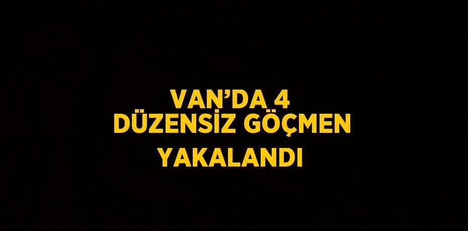 VAN’DA 4 DÜZENSİZ GÖÇMEN YAKALANDI