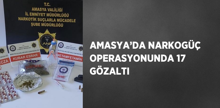 AMASYA’DA NARKOGÜÇ OPERASYONUNDA 17 GÖZALTI