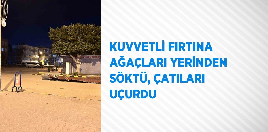 KUVVETLİ FIRTINA AĞAÇLARI YERİNDEN SÖKTÜ, ÇATILARI UÇURDU