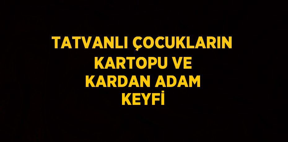 TATVANLI ÇOCUKLARIN KARTOPU VE KARDAN ADAM KEYFİ