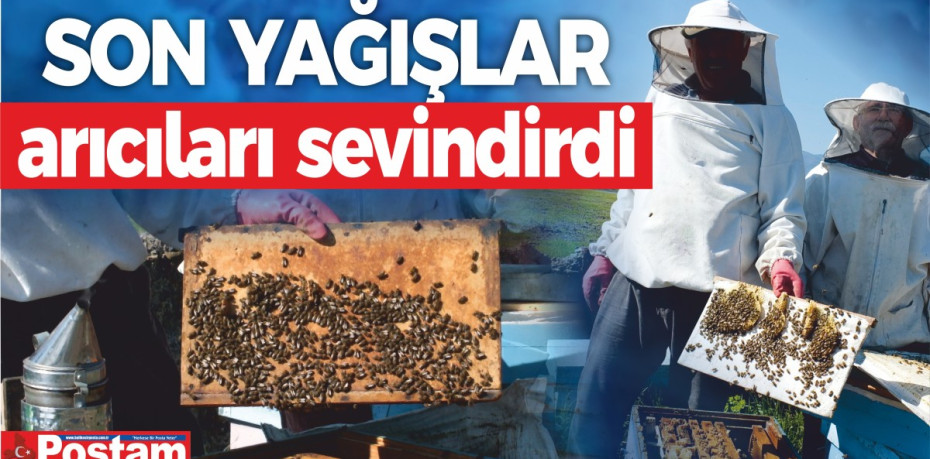 Son yağışlar arıcıları sevindirdi