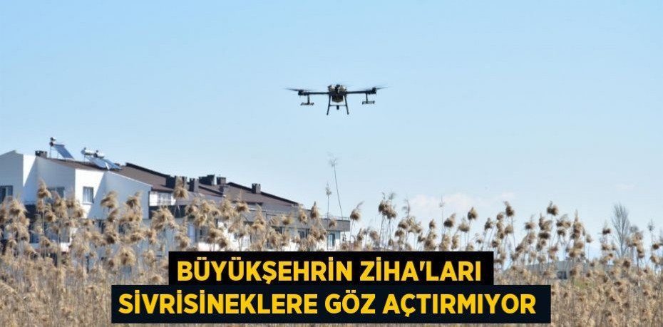 Büyükşehrin ZİHA’ları sivrisineklere göz açtırmıyor